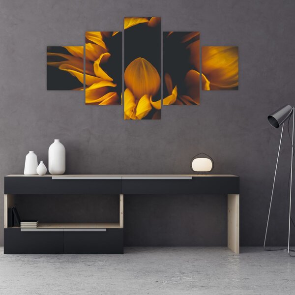 Obraz - Slunečnice v černém pozadí (125x70 cm)