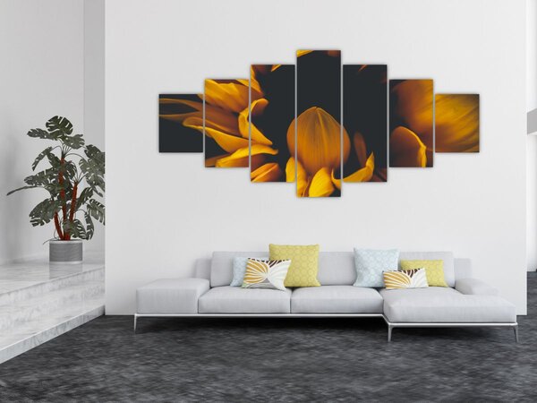 Obraz - Slunečnice v černém pozadí (210x100 cm)