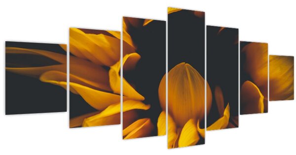 Obraz - Slunečnice v černém pozadí (210x100 cm)