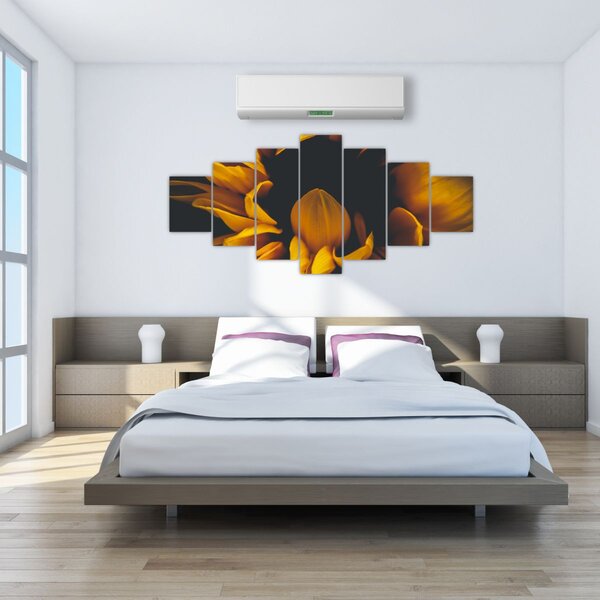 Obraz - Slunečnice v černém pozadí (210x100 cm)