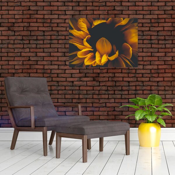 Obraz - Slunečnice v černém pozadí (70x50 cm)