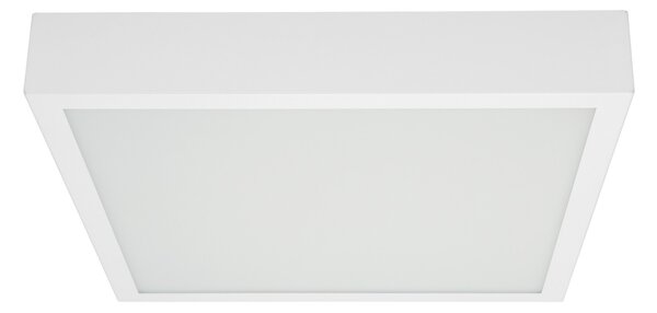 Linea Light 8231 Box_SQ, bílé stropní svítidlo 30W LED 3000K, 41x41cm