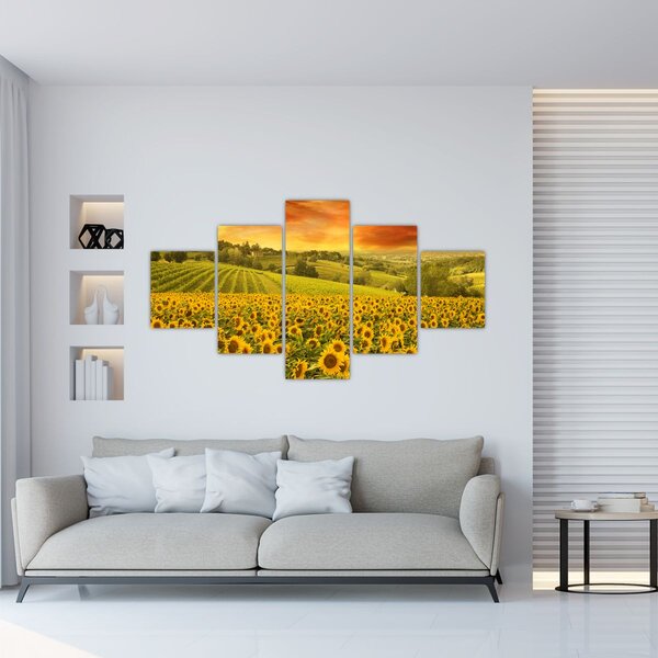 Obraz - Slunečnicové pole (125x70 cm)