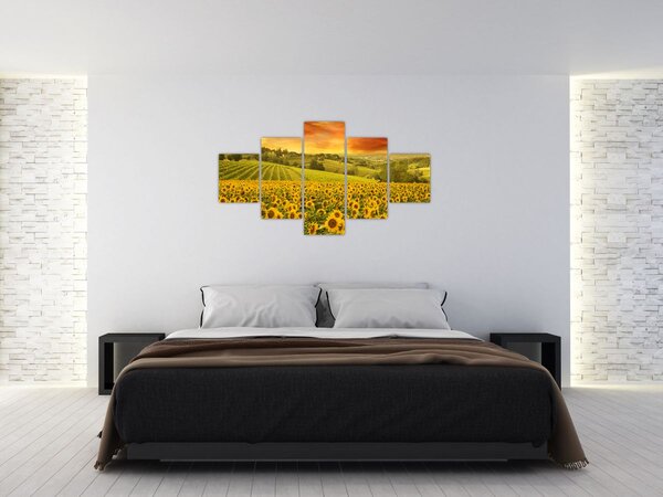 Obraz - Slunečnicové pole (125x70 cm)