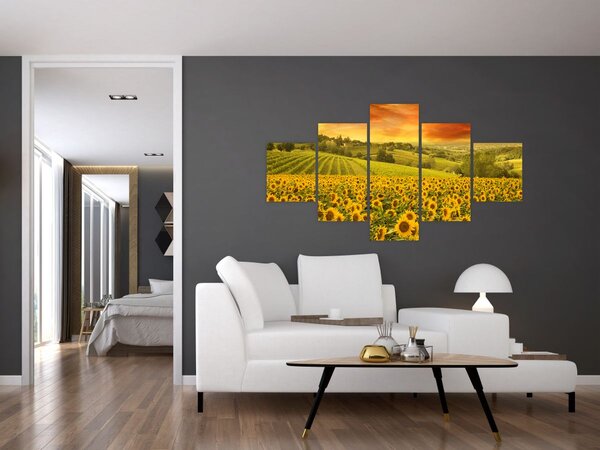 Obraz - Slunečnicové pole (125x70 cm)