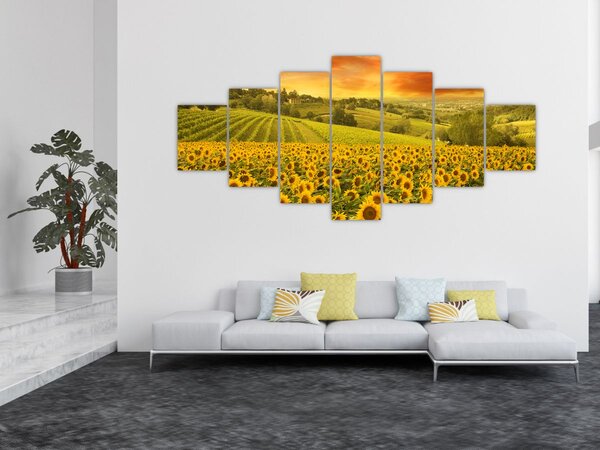 Obraz - Slunečnicové pole (210x100 cm)