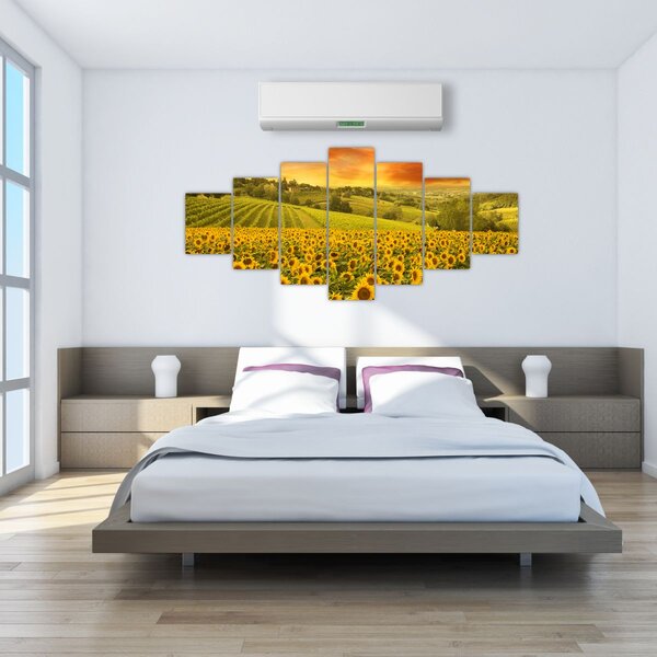 Obraz - Slunečnicové pole (210x100 cm)