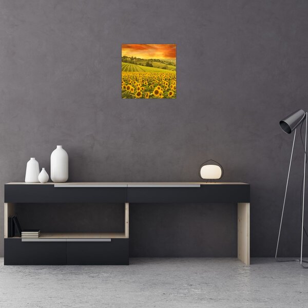 Obraz - Slunečnicové pole (30x30 cm)