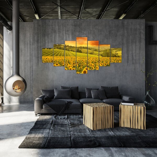Obraz - Slunečnicové pole (210x100 cm)