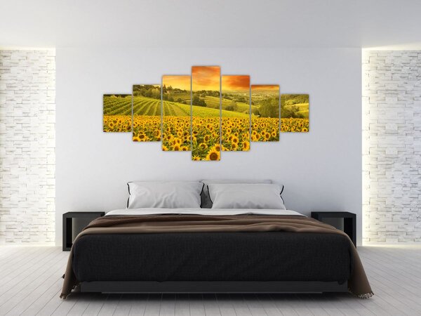 Obraz - Slunečnicové pole (210x100 cm)