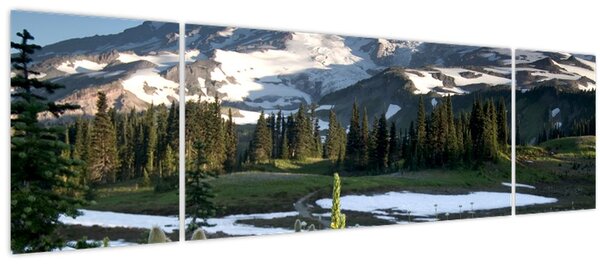 Obraz - Mount Rainier (170x50 cm)