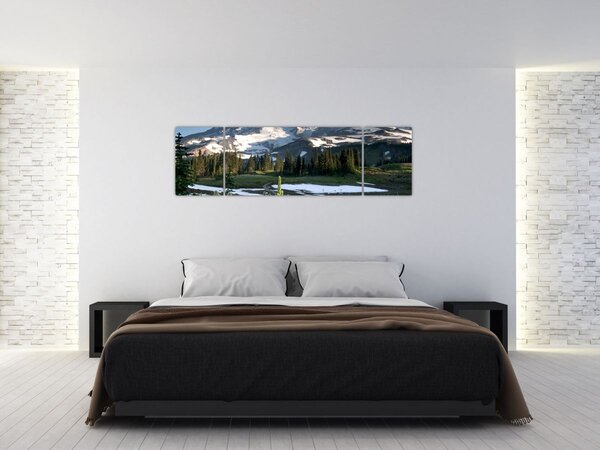 Obraz - Mount Rainier (170x50 cm)