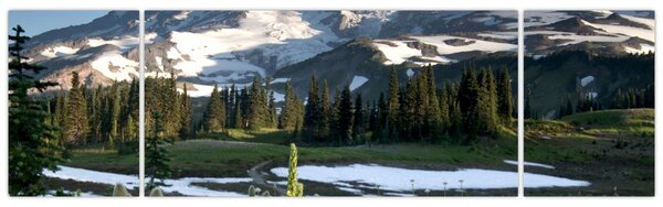 Obraz - Mount Rainier (170x50 cm)