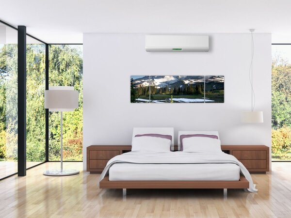 Obraz - Mount Rainier (170x50 cm)