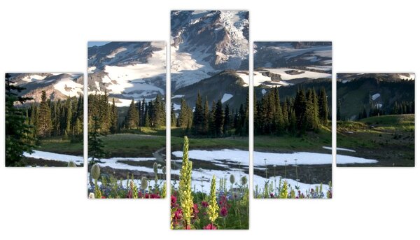 Obraz - Mount Rainier (125x70 cm)
