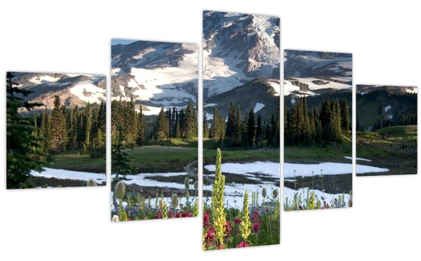 Obraz - Mount Rainier (125x70 cm)