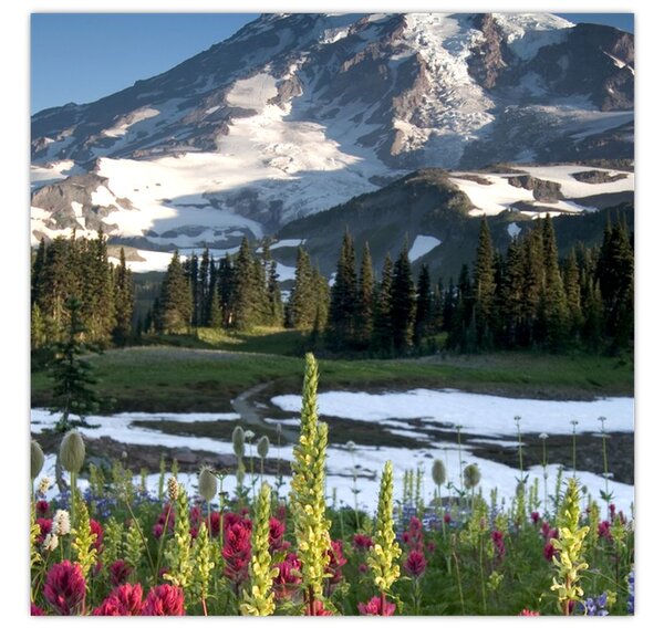 Obraz - Mount Rainier (30x30 cm)