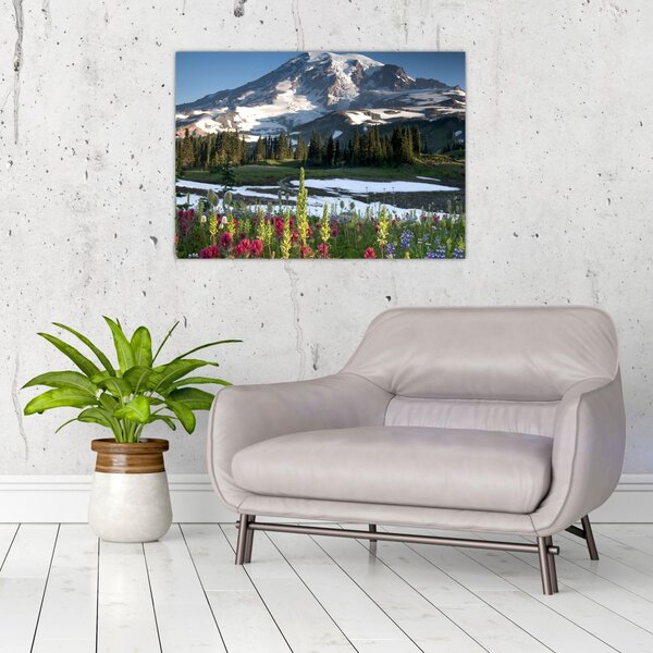 Obraz - Mount Rainier (70x50 cm)