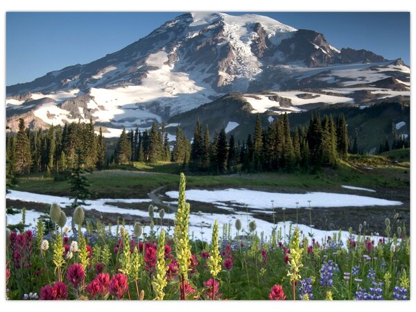 Obraz - Mount Rainier (70x50 cm)