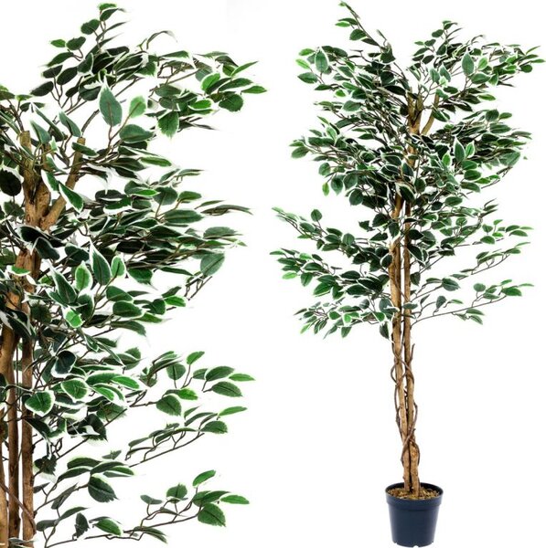 Umělý fíkus 160 cm s pravým dřevem do interiéru