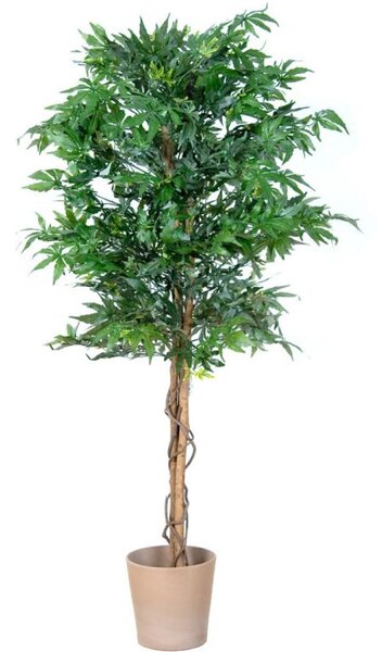 PLANTASIA Umělá rostlina strom, konopí, 150 cm