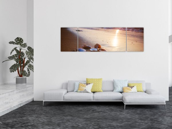 Obraz - Mušle (170x50 cm)