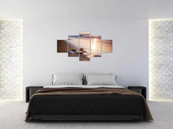 Obraz - Mušle (125x70 cm)