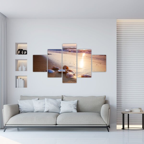 Obraz - Mušle (125x70 cm)