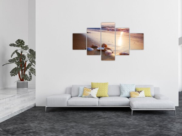 Obraz - Mušle (125x70 cm)