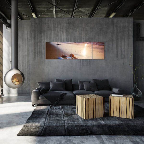 Obraz - Mušle (170x50 cm)