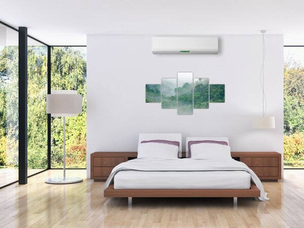 Obraz - Ranní mlha (125x70 cm)