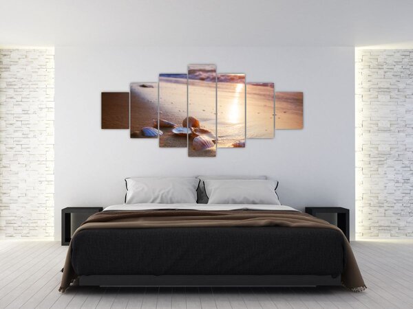 Obraz - Mušle (210x100 cm)