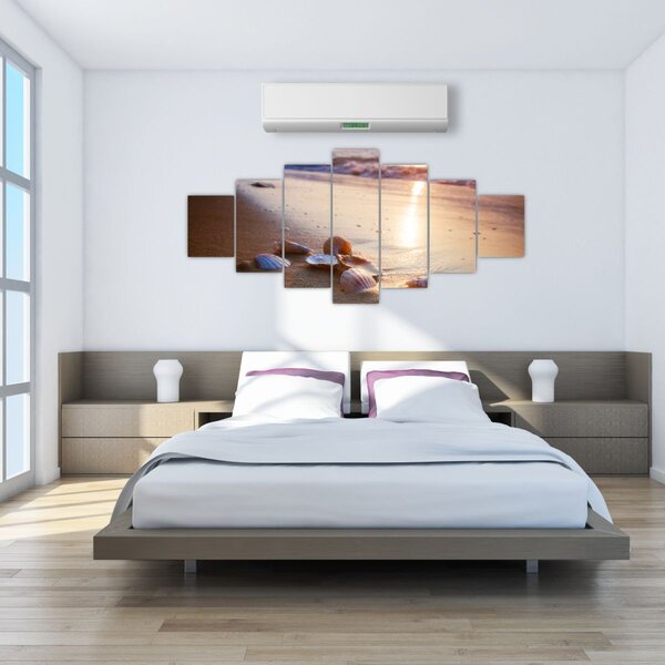 Obraz - Mušle (210x100 cm)