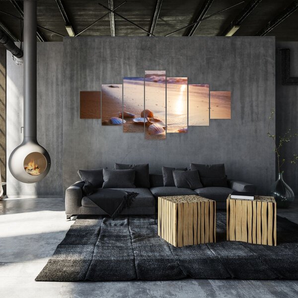 Obraz - Mušle (210x100 cm)