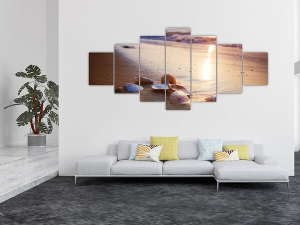 Obraz - Mušle (210x100 cm)