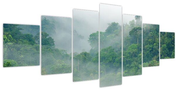 Obraz - Ranní mlha (210x100 cm)