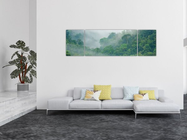 Obraz - Ranní mlha (170x50 cm)