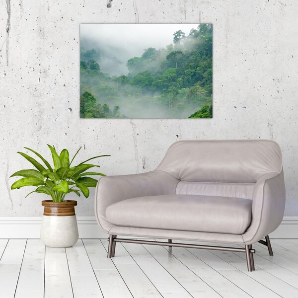 Obraz - Ranní mlha (70x50 cm)