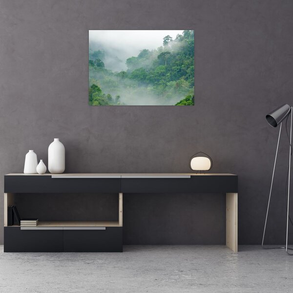 Obraz - Ranní mlha (70x50 cm)