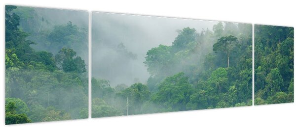 Obraz - Ranní mlha (170x50 cm)