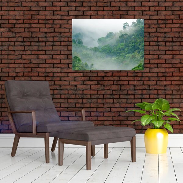 Obraz - Ranní mlha (70x50 cm)