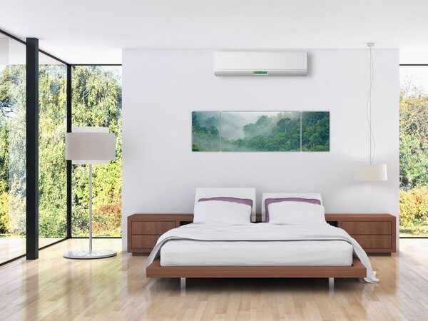 Obraz - Ranní mlha (170x50 cm)