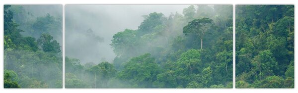 Obraz - Ranní mlha (170x50 cm)