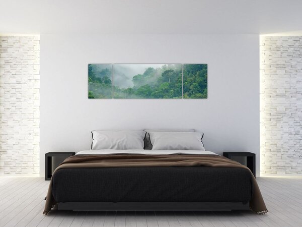 Obraz - Ranní mlha (170x50 cm)
