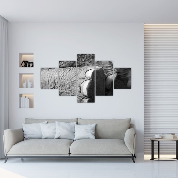 Obraz - Sloní noha (125x70 cm)