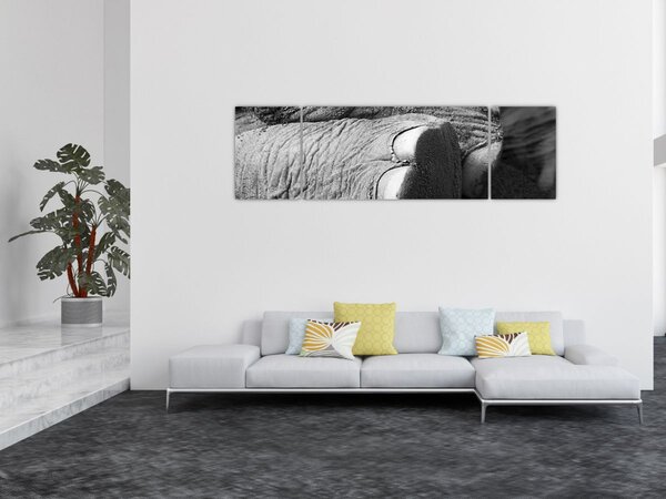 Obraz - Sloní noha (170x50 cm)