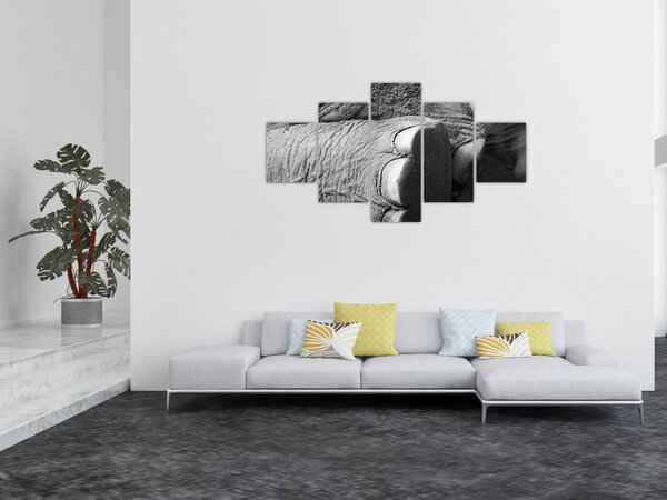 Obraz - Sloní noha (125x70 cm)