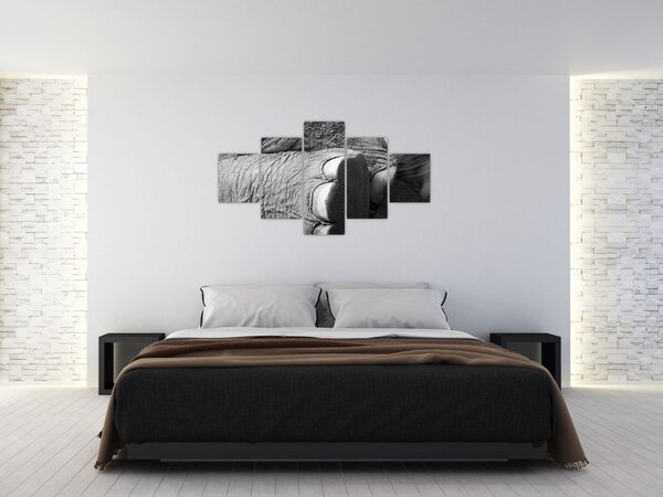 Obraz - Sloní noha (125x70 cm)