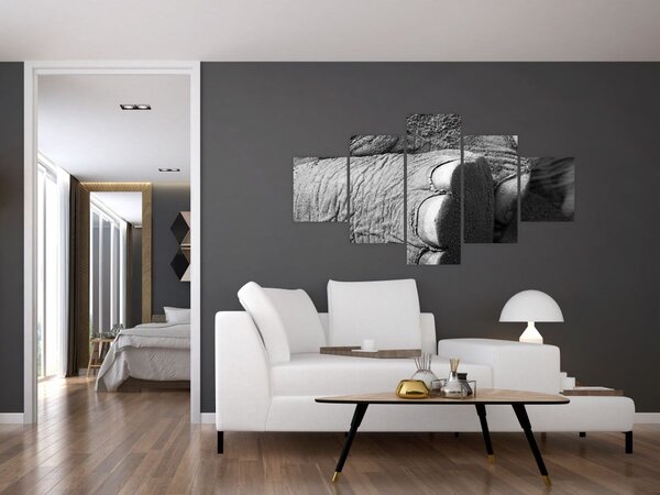 Obraz - Sloní noha (125x70 cm)