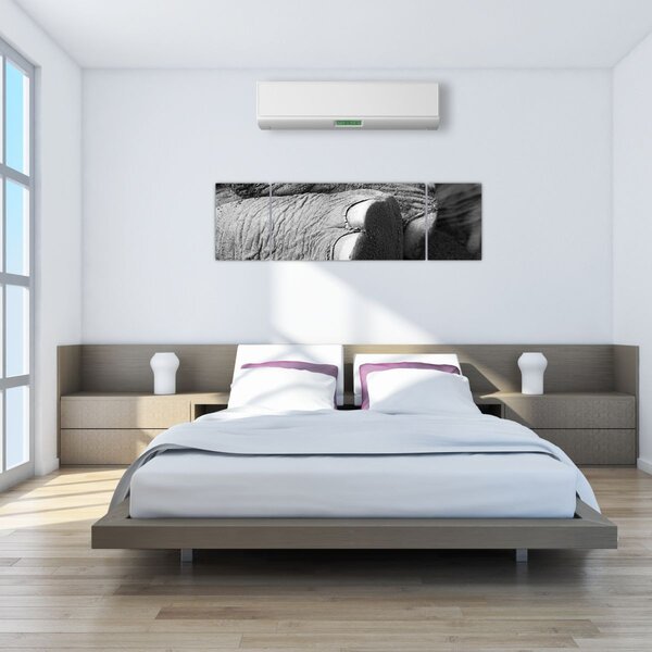 Obraz - Sloní noha (170x50 cm)